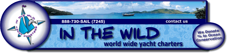 In The Wild Yacht Charters World Wide